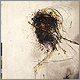 Peter Gabriel - Passion: The Last Temptation Of Christ - CD review