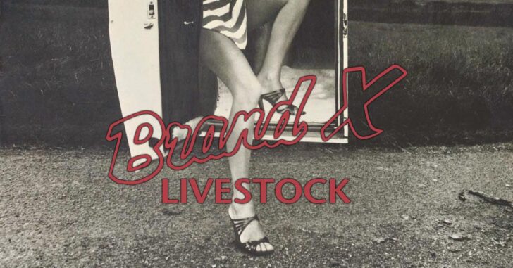 Brand X Livestock