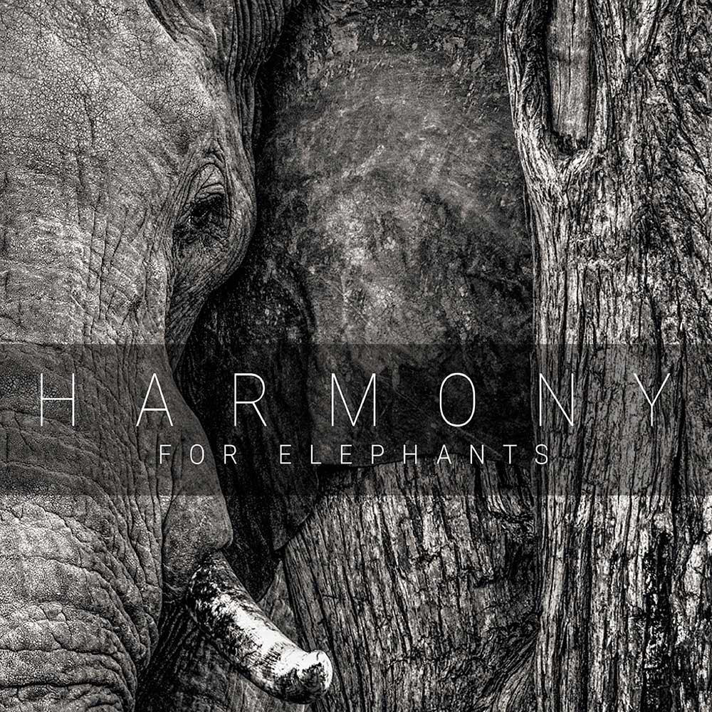 Harmony For Elephants Sampler CD